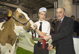 AYRSHIRE CHAMPION HEIFER AGRISCOT 2010