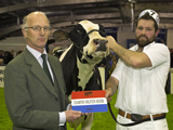 AGRISCOT HOLSTEIN HEIFER CHAMPION 2010