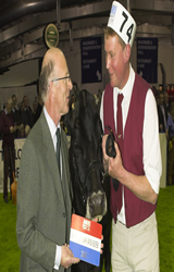 BROWN SWISS AT AGRISCOT