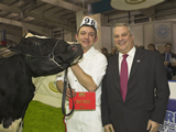 JUNIOR HOLSTEIN COW AGRISCOT 2010